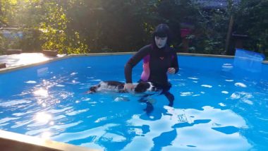 vid-20160909-wa0002_2356